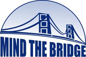 Mind the bridge