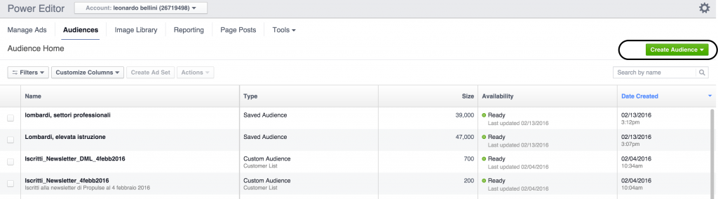 custom audience