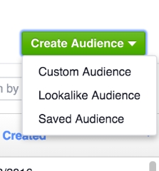 create custom audience - menu