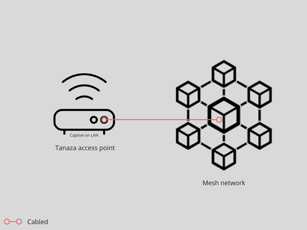 Is mesh the best choice for your network?