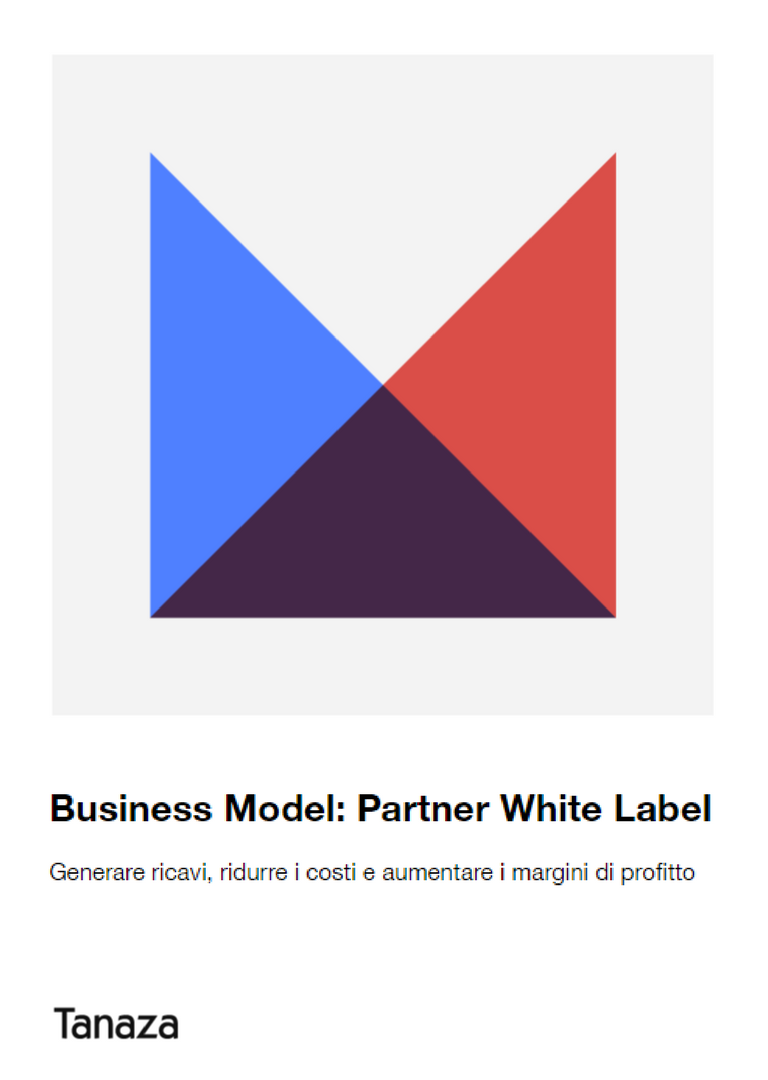 Modello di business di un partner WL